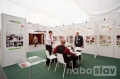 Pragointerier 2012